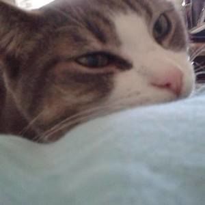 Meet your Posher, Lynn